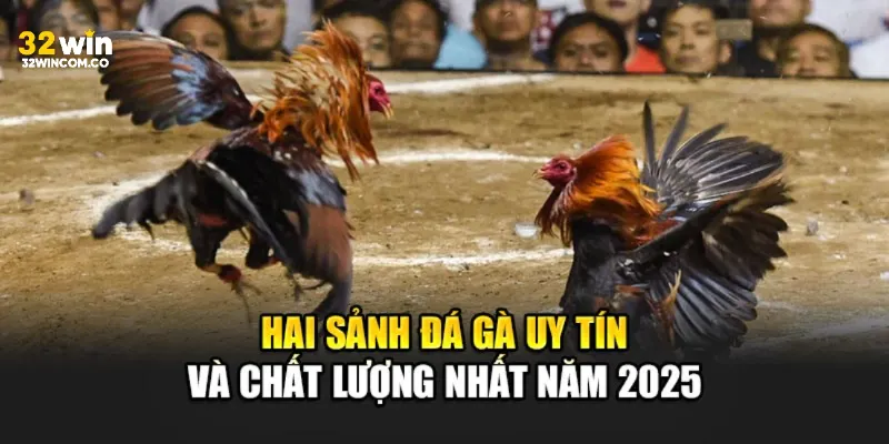 2 sảnh đối tác uy tín