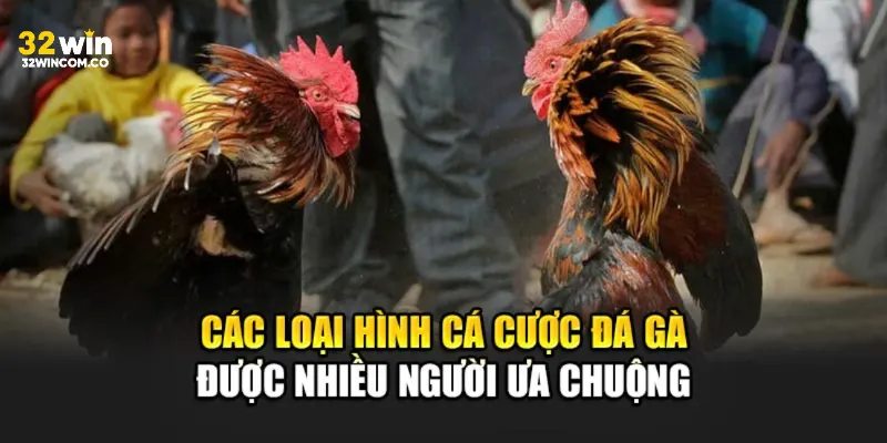 Các loại cược đá gà