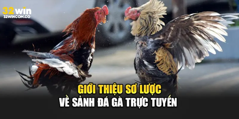 Tổng quan sảnh đá gà 32win