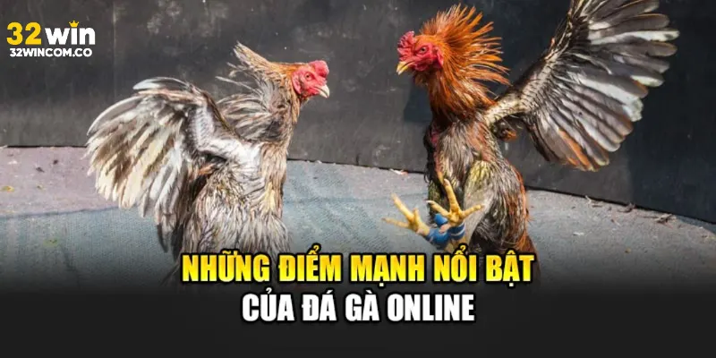 Ưu điểm của sảnh đá gà tại 32win